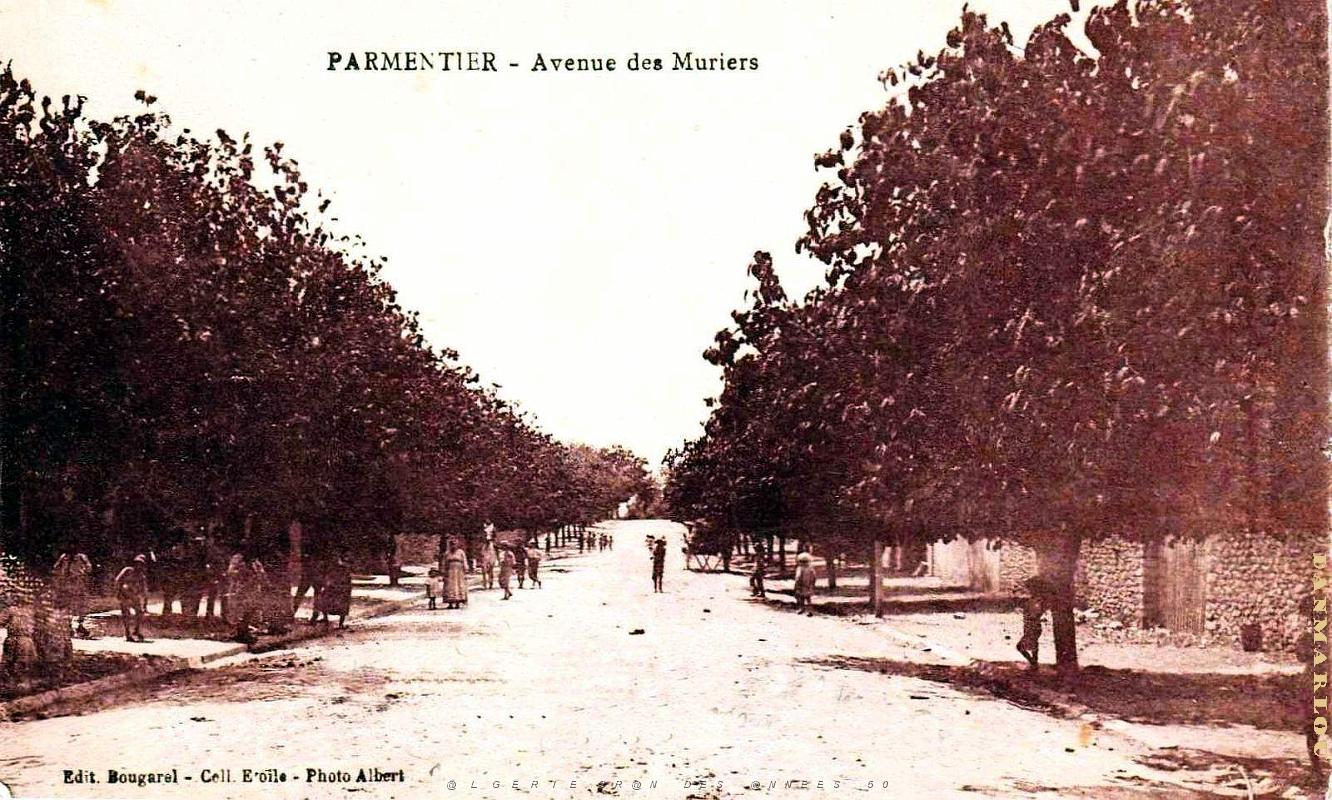 Parmentier - Avenue des Muriers.jpg